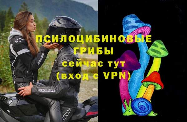 ALPHA PVP Алексеевка