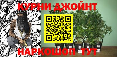 mdma Гусев