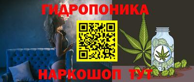 гидропоника Гусиноозёрск