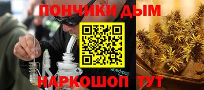 гидропоника Гусиноозёрск