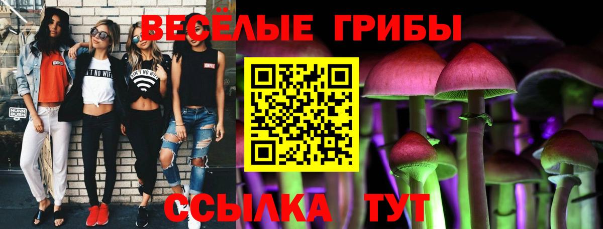 Псилоцибиновые грибы MAGIC MUSHROOMS  Вход с VPN  Галлюциногенные грибы Psilocybe  Топки 